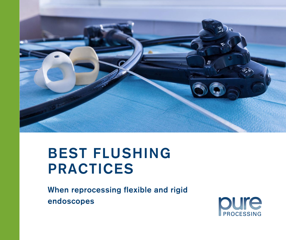 Best Flushing Practices